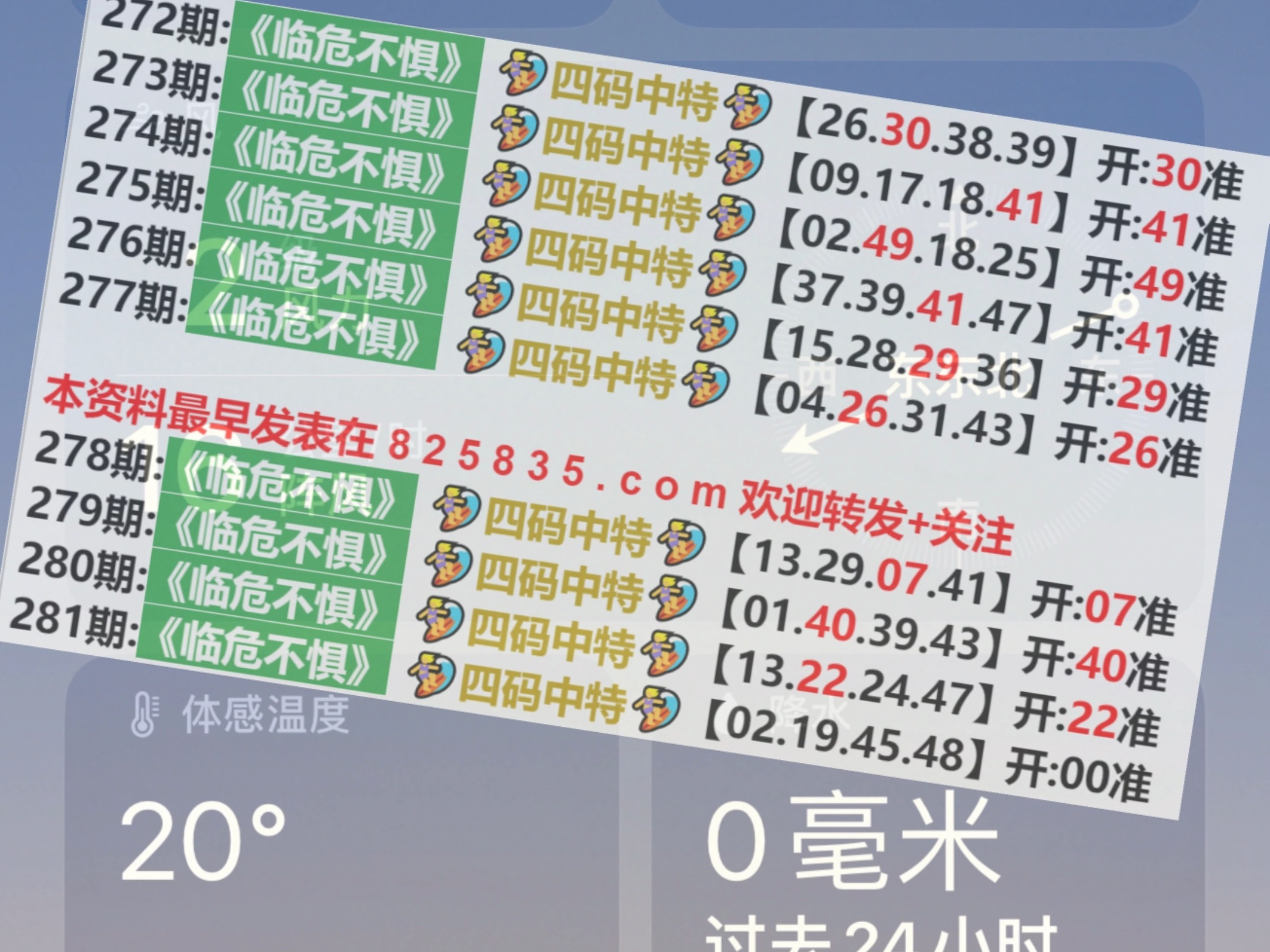 2024年新澳门天天开奖免费查询精选解析、解释与落实
