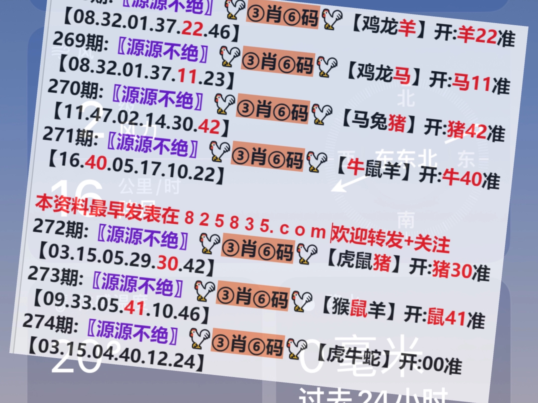 2024年新澳门天天开奖免费查询精选解析、解释与落实