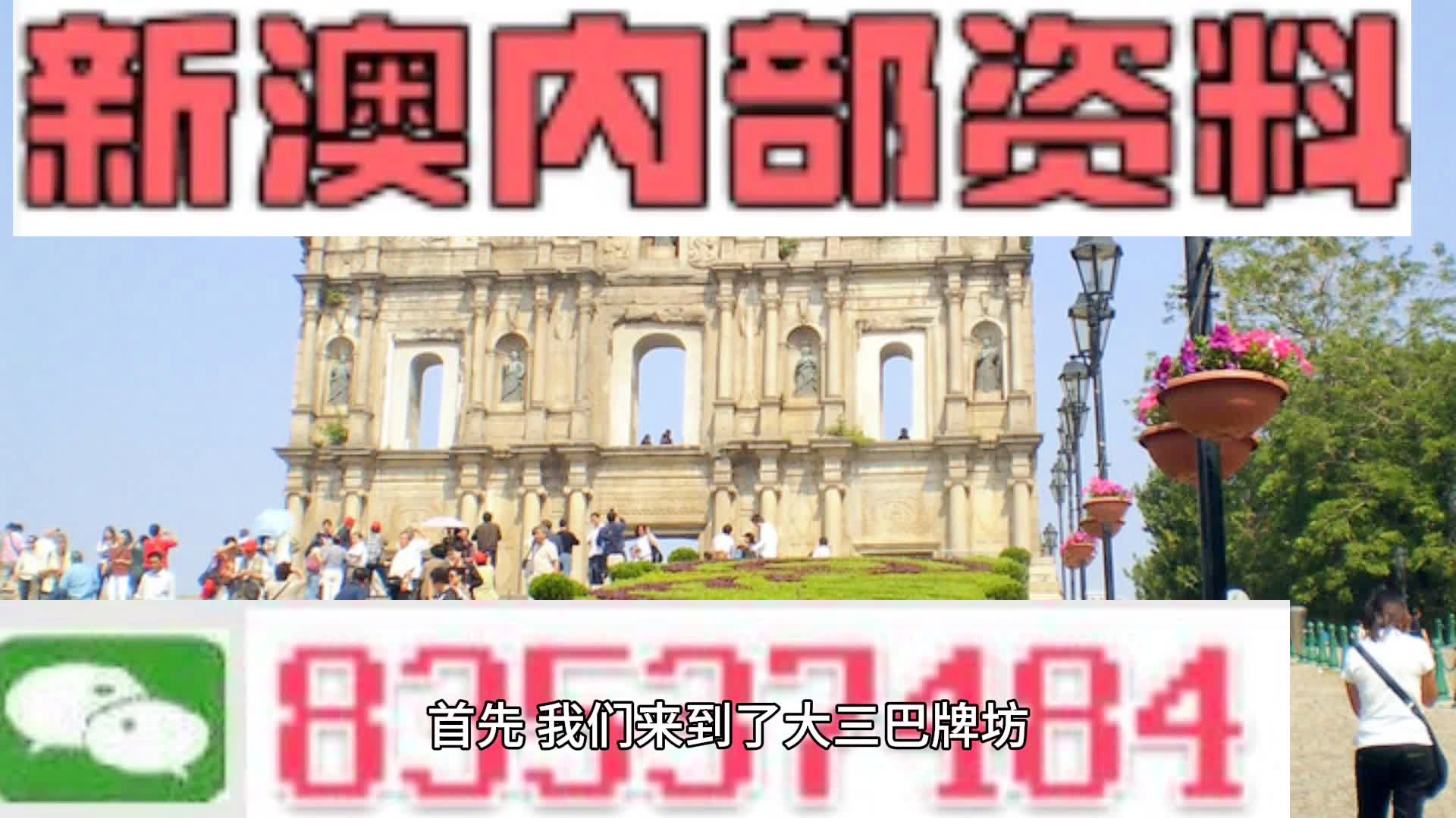 2025年新澳门全年免男女请全面2释义、解释与落实