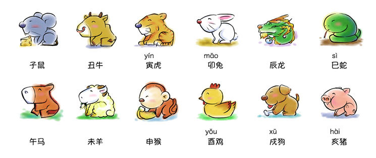 晚上生肖是什么生肖详细解答、解释与落实