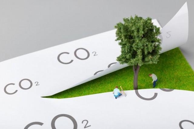 2025新澳最新版最精准特的全面释义、解释与落实