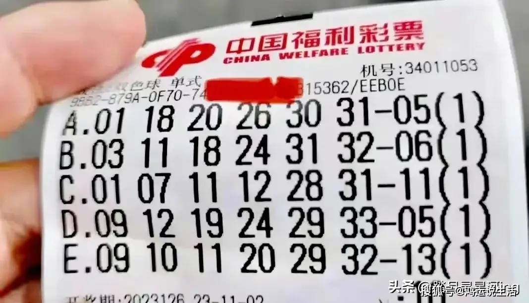 一码一肖准确精选解析、解释与落实