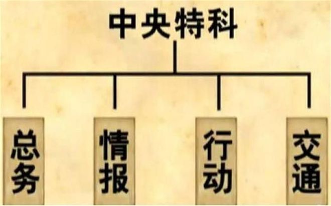 曾道道人资料免费大全历史记录仔细释义、解释与落实