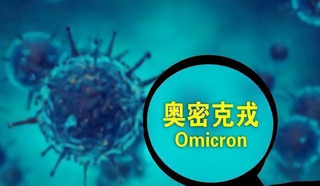2025澳门资料大全免费资料请全面2释义、解释与落实