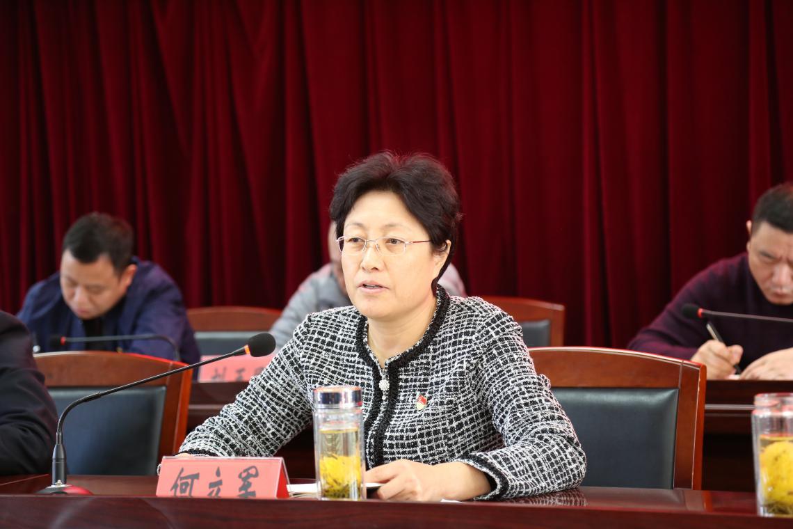 新澳门内部精准公开精选解析、解释与落实