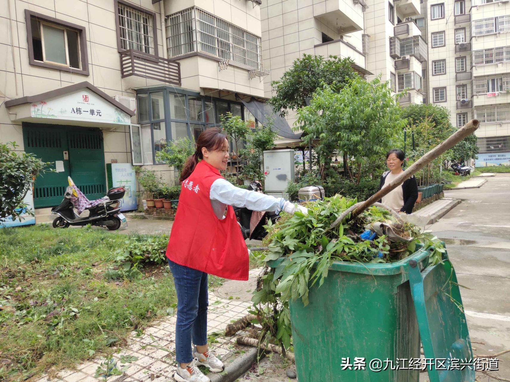 晚上生肖是什么生肖请全面2释义、解释与落实