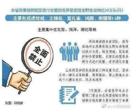 2025正版资料全年免费公开警惕虚假宣传、全面解答与解释