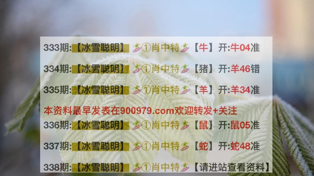 2025新澳精准正版澳门码,警惕虚假宣传、全面解答