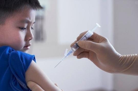 种子搜索神器在线引擎,警惕虚假宣传、全面解答