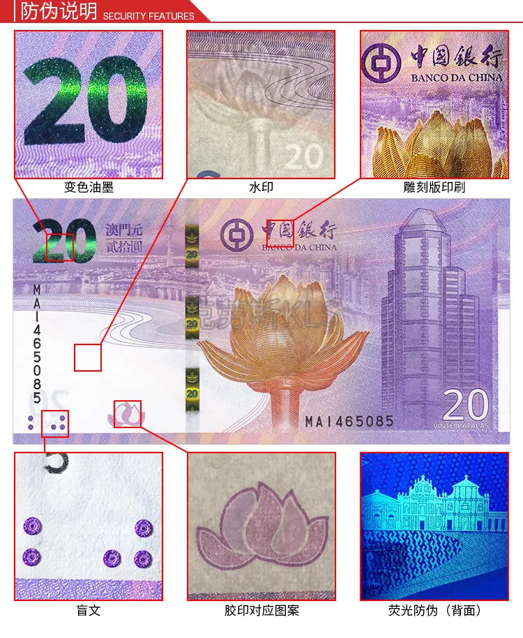 2025年新澳门开奖记录请全面2释义、解释与落实