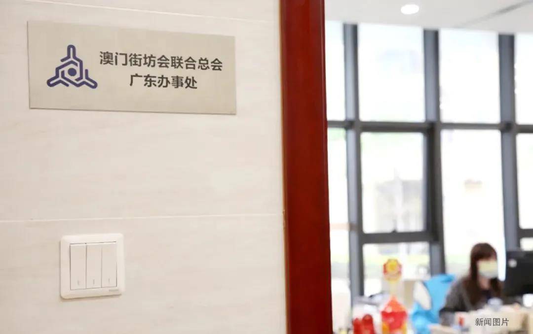 广东八二站澳门请全面2释义、解释与落实