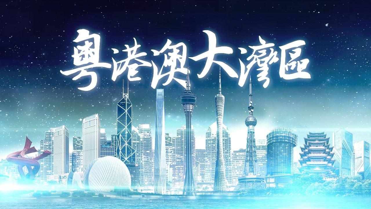 2025澳门天天免费大全请全面释义、解释与落实