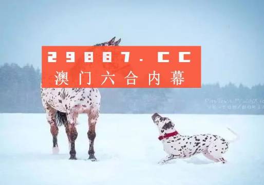 2025正版澳门资料精选解析、解释与落实