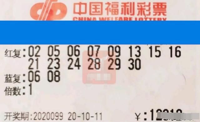 4949澳门今晚开奖仔细释义、解释与落实