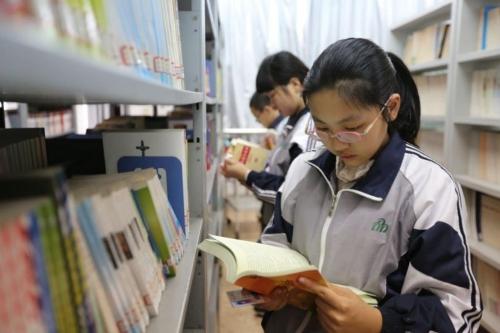 一肖一码100%的全面释义、解释与落实