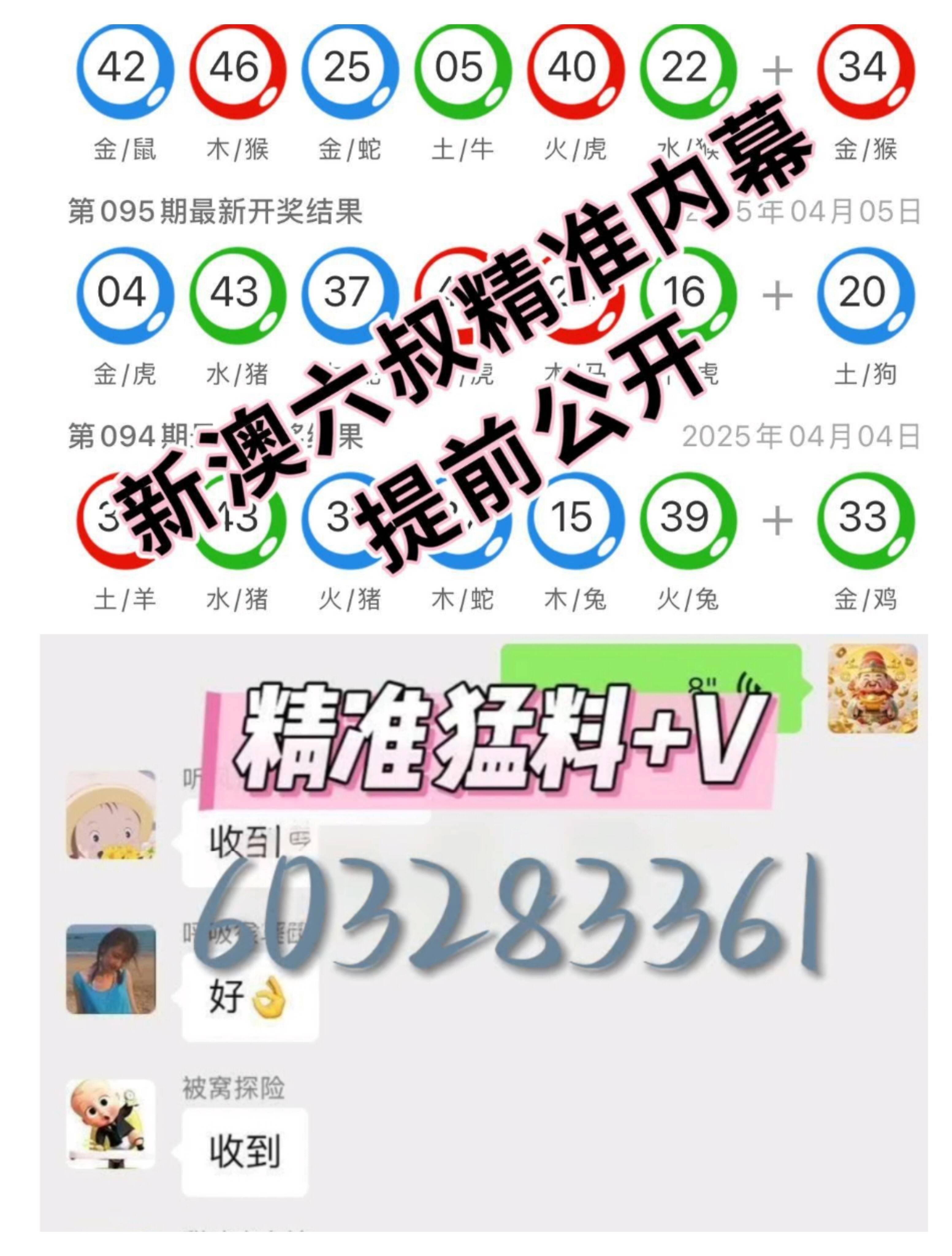 2025新澳门正版免费提供精选解析、解释与落实