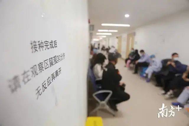 广东八二站澳门请全面2释义、解释与落实