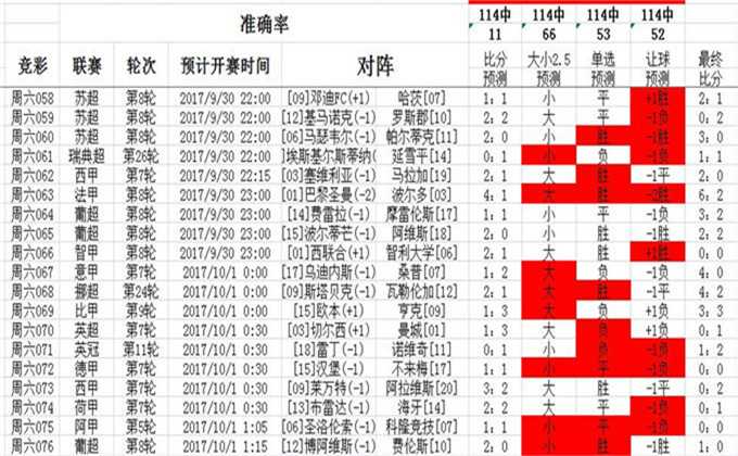 王中王493333中特马诗请全面2释义、解释与落实